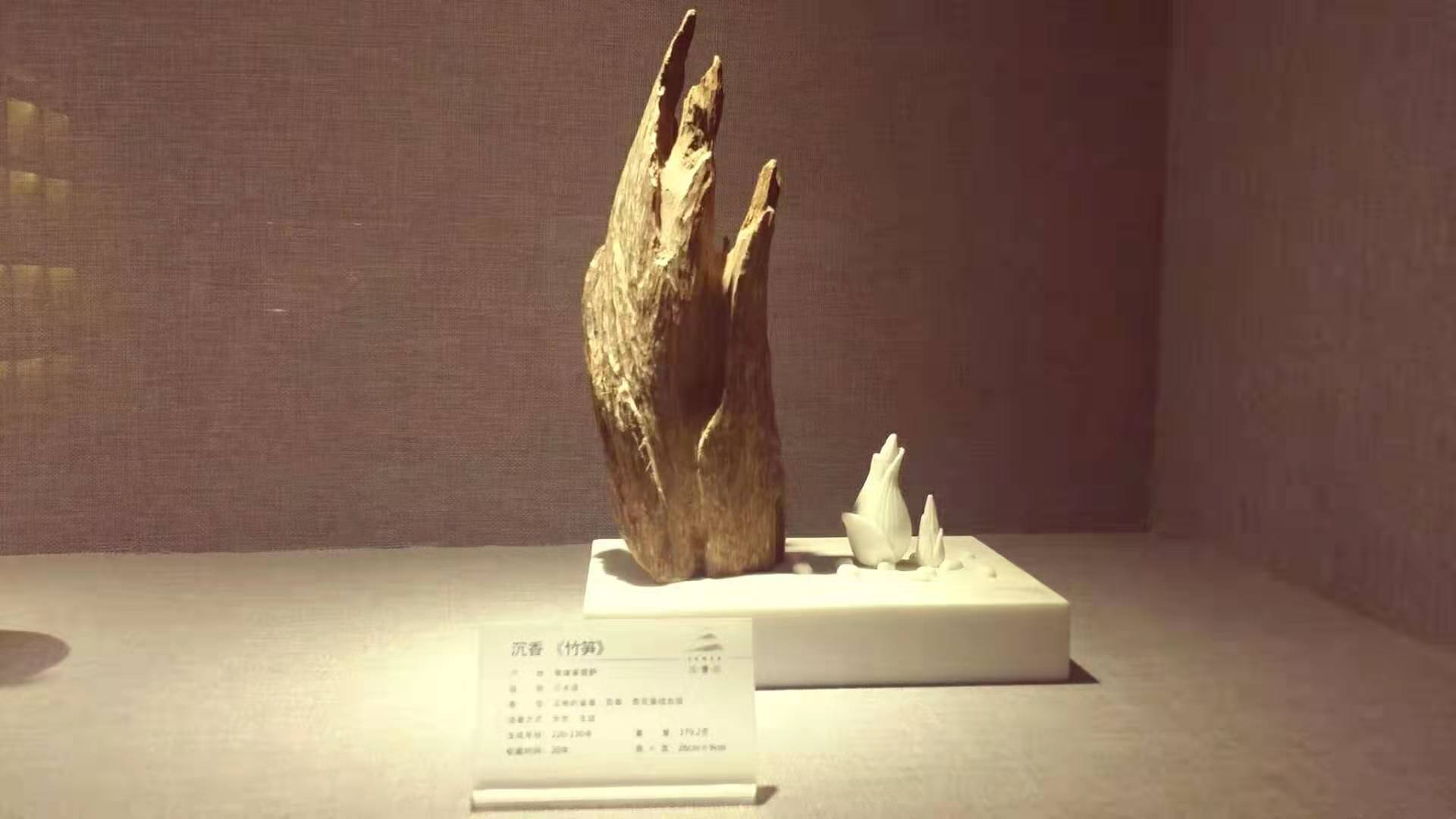 Agarwood bamboo-shoot sculpture